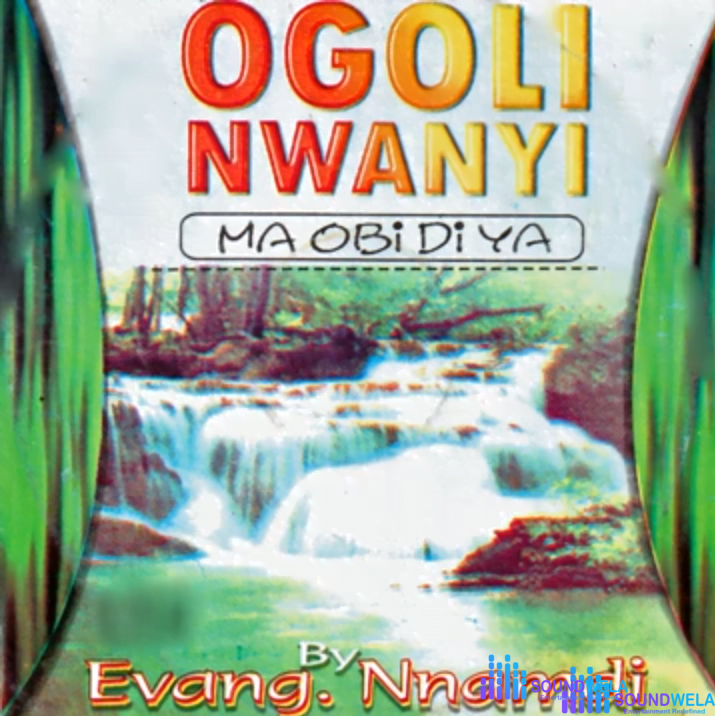 Evang Nnamdi - Tribalism – Evang Nnamdi Enwenighi songs