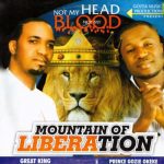 Gozie Okeke - Mountain Of Liberation – Gozie Okeke Mountain of Liberation