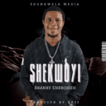Branky Enebomeh Shekwoyi