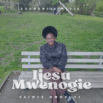 Ijesu Mwenogie by Palmer Omoruyi