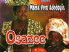 Mama Vero Adedoyin music album art