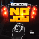 Zio Gentle - No Joy – no joy