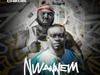 Prof Chikobi - Nwannem (Feat. Ojadiligbo) – Prof Chikobi Nwannem