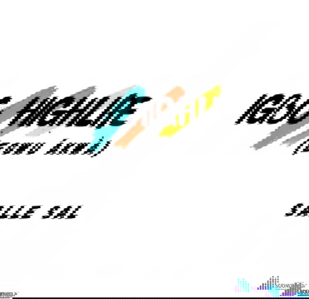 Salle Sal - Igbo Highlife (Egwu Ákwà) – Salle Sal Igbo highlife Egwu akwa