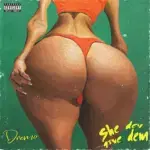 Dremo – She Dey Give Dem – Dremo She Dey Give Dem