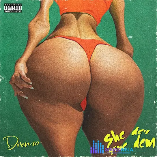 Dremo – She Dey Give Dem – Dremo She Dey Give Dem