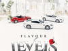 Flavour – Levels – Flavour Levels