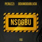 Peruzzi – Nsogbu ft. Odumodublvck – IMG 20231223 120638
