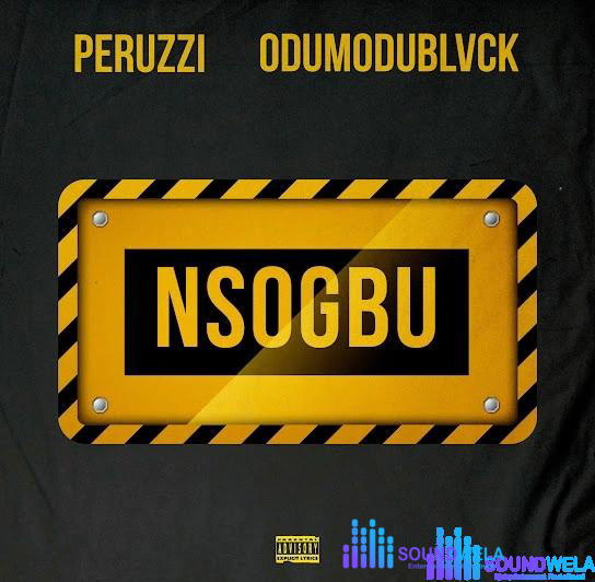Peruzzi – Nsogbu ft. Odumodublvck – IMG 20231223 120638