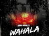 Naira Marley – Wahala – IMG 20231229 090905