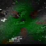 Laycon – Shine – Laycon Shine Lol EP