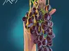 Masterkraft – Fruit ft. Joeboy & Majeeed – Masterkraft Fruit ft Joeboy Majeeed