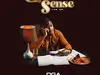 Oga Network – Uncommon Common Sense EP – Oga Network Uncommon Common Sense Ep