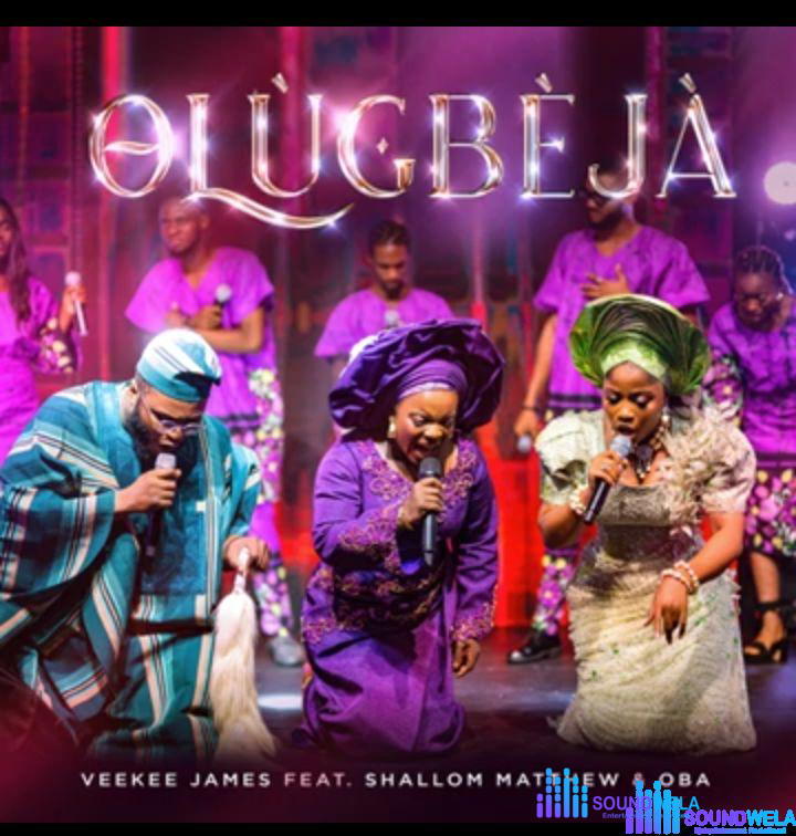 Veekee James - Olugbeja – Olugbeja Veekee James