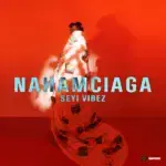 Seyi Vibez – Apala Interlude – Seyi Vibez NAHAMciaga EP