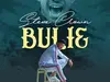 Steve Crown – Bulie – Steve Crown Bulie scaled 1