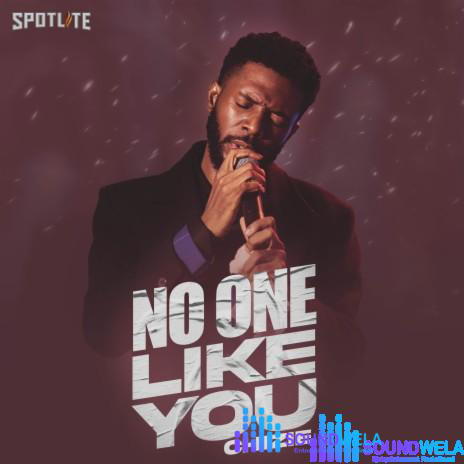 Chizie – No One Like You – c664dfd1193449bf9ae370e272997f3a 464 464
