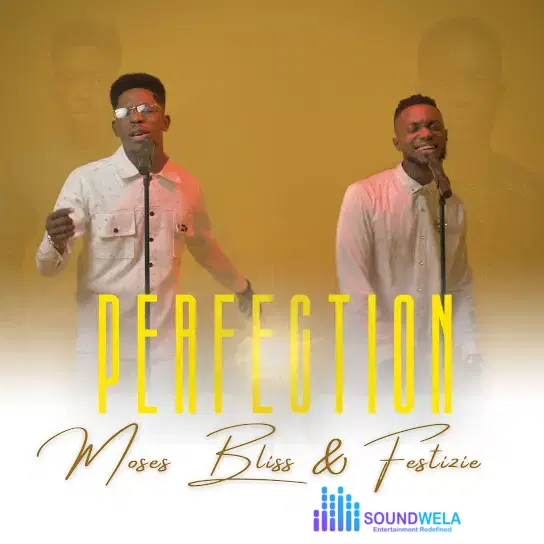 Moses Bliss – Perfection – moses bliss – perfection
