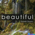 Godwin Omonu – Beautiful – Godwin Omonu – Beautiful
