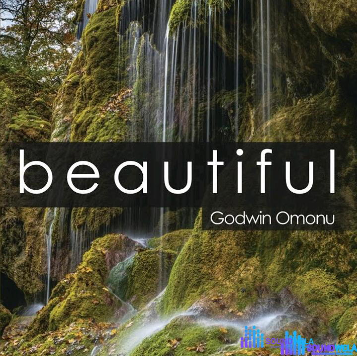 Godwin Omonu – Beautiful – Godwin Omonu – Beautiful