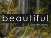 Godwin Omonu – Beautiful – Godwin Omonu – Beautiful