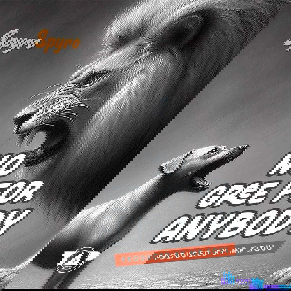 Spyro – No Gree For Anybody (NGFA) – IMG 20240112 120541