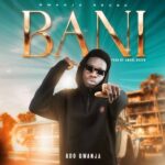 Ado Gwanja – Bani – IMG 20240122 203915