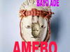 Bayo Ade – Amebo (Dem Go Tire) – IMG 20240126 115326
