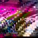 Moses Bliss - Taking Care (Live) – Moses Bliss Taking Care Live