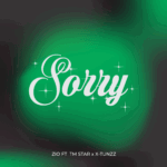 Zio Gentle - Sorry – zio 2 1