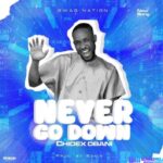 Chidex Obani – Never Go Down – Chidex Obani – Never Go Down