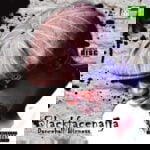 BlackFaceNaija – The Way You Move ft. Terry G – BlackFaceNaija The Way You Move ft Terry G Soundwela
