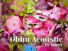 PC Lapez – Obim (Acoustic) – PC Lapez Obim Acoustic Soundwela