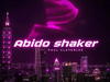 Paul Cleverlee – Abido Shaker – Paul Cleverlee Abido Shaker
