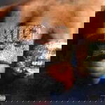 Burna Boy – Big 7 – Burna Boy Big 72