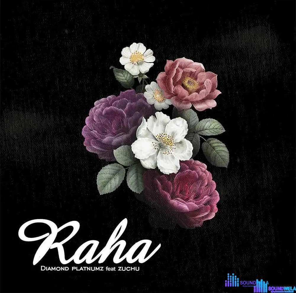Diamond Platnumz – Raha ft. Zuchu – Diamond Platnumz Raha ft Zuchu2