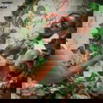 Lifesize Teddy – Selina ft. Major AJ – Lifesize Teddy Selina ft Major AJ2