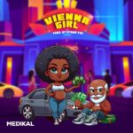 Medikal – VIENA GIRL – Medikal VIENA GIRL2