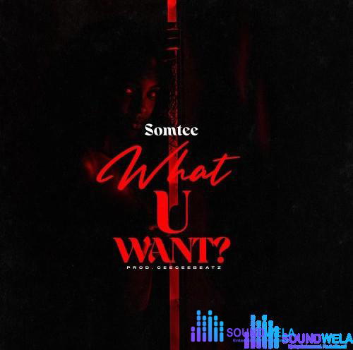 Somtee – What U Want – Somtee What U Want Soundwela