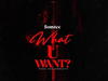 Somtee – What U Want – Somtee What U Want Soundwela