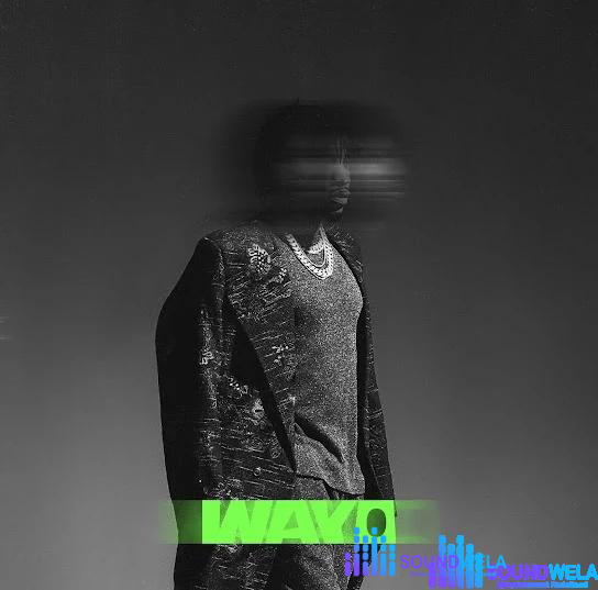 Tekno – Wayo – Tekno Wayo2