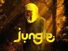 Ayox – JUNGLE – Ayox JUNGLE 12