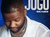 Skales – Jogo – Skales Jogo2
