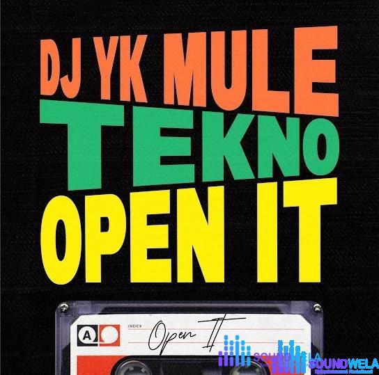 Dj Yk Mule – Open It ft. Tekno – Dj Yk Mule Open It ft Tekno 12
