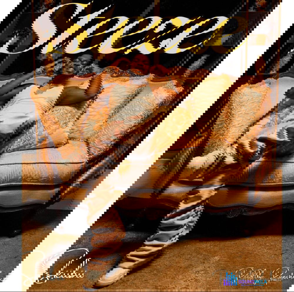 Skiibii – Steeze – Skiibii – Steeze2