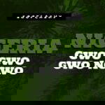 Sooflashy – Nigeria Gwo Gwo Gwo Ngwo – Sooflashy Nigeria Gwo gwo gwo Ngwo Soundwela