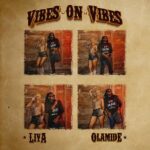 Liya – Vibes On Vibes ft. Olamide – Liya Vibes On Vibes ft Olamide2