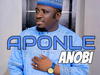Alh Basit Aponle Anobi – Seyidil Humanity – Alh Basit Aponle Anobi APONLE ANOBI 1