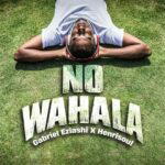 Gabriel Eziashi – No Wahala Ft. Henrisoul – Gabriel Eziashi – No Wahala Ft. Henrisoul