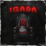 Sparkle Tee – Igada – Sparkle Tee Igada 1